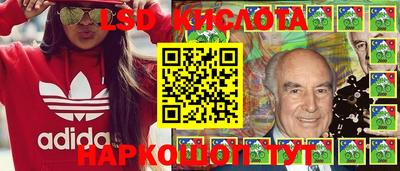 прущие грибы Дубна