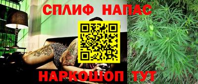 Альфа ПВП Гусев