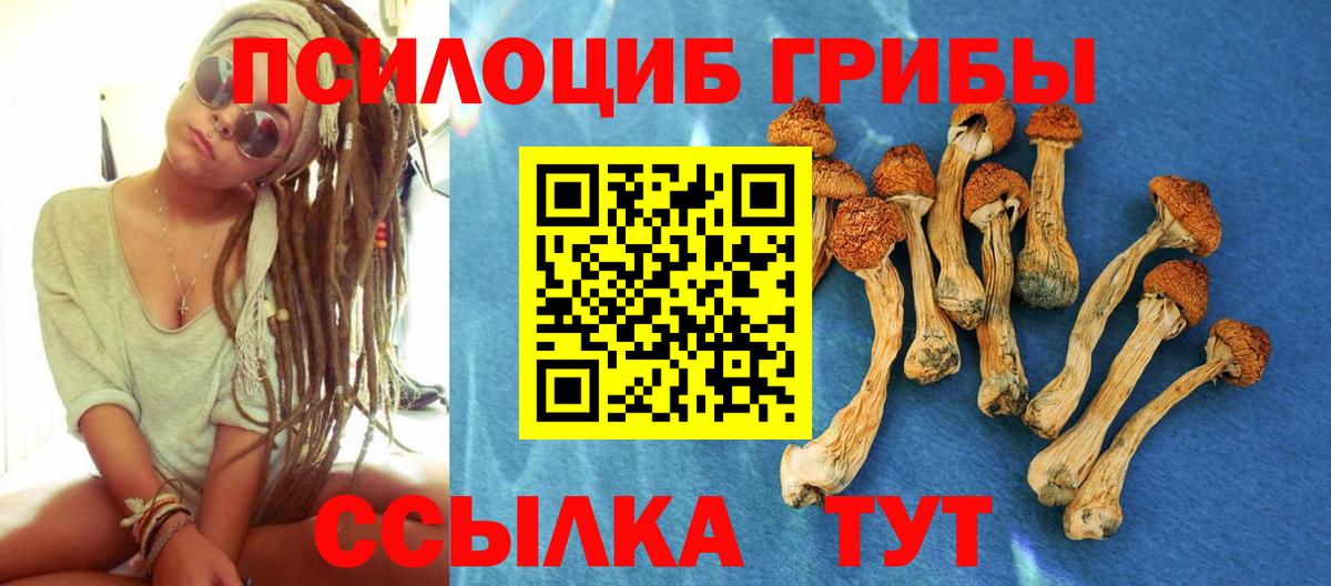 Псилоцибиновые грибы GOLDEN TEACHER  Псилоцибиновые грибы GOLDEN TEACHER  Вход с VPN  Медногорск 
