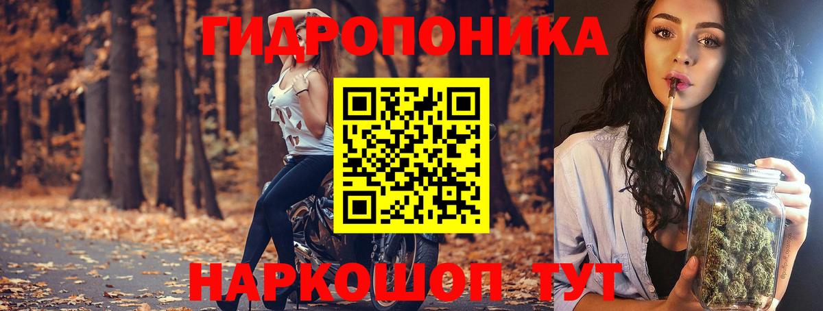 Бошки Шишки Bruce Banner  Вход с VPN  Бошки Шишки ГИДРОПОН  Медногорск 